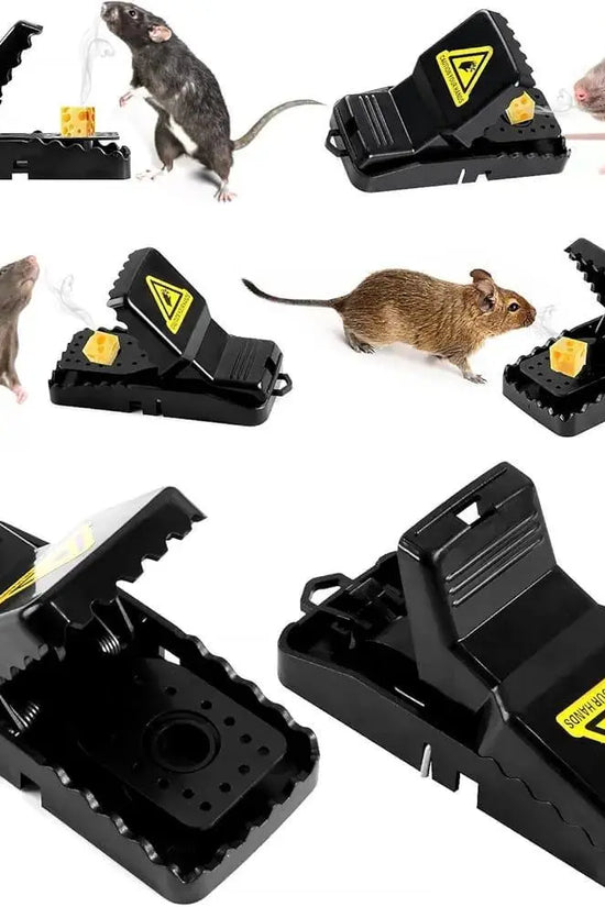 Snap 🐭 Mouse Trap – Easy & Effective Rodent Control RebelRise Mart